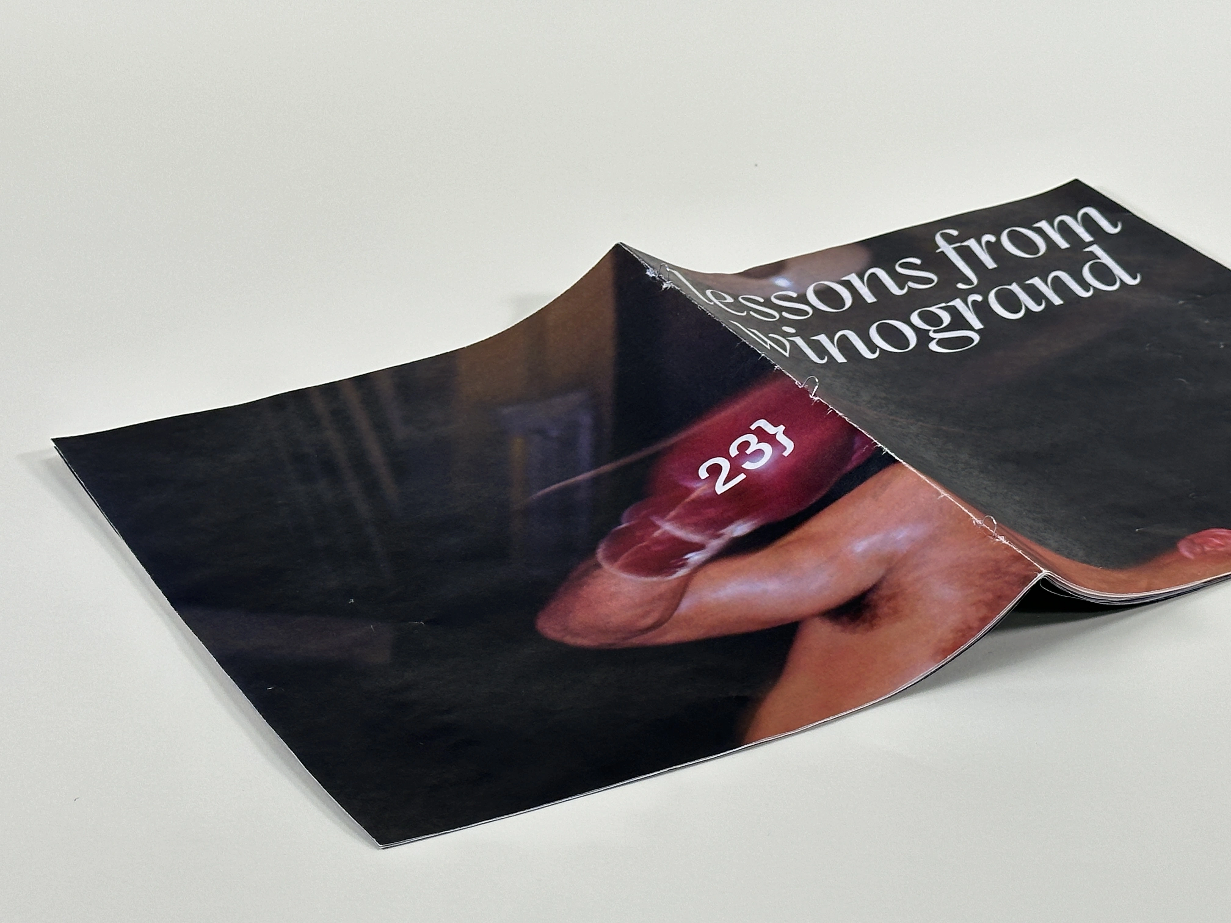 lessons with winogrand